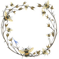 Wreath of meadow herbs ans bumblebees. Watercolor nature illustration, round frame for greetings and any cards