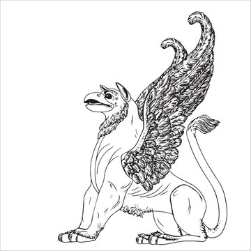 linear vector drawing fantastic creature griffin with wings doodle art