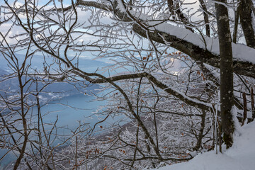 Glace sur les arbres avec le Lac d'Annecy en arrière plan