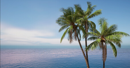 Fototapeta na wymiar The image of a coconut tree against the early morning sky, the background for the hello summer design. 3D rendering 
