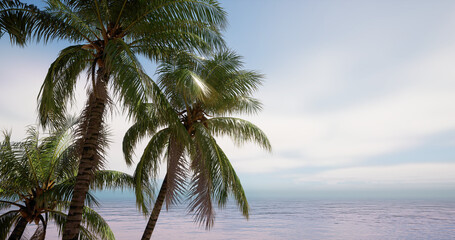 The image of a coconut tree against the early morning sky, the background for the hello summer design. 3D rendering 