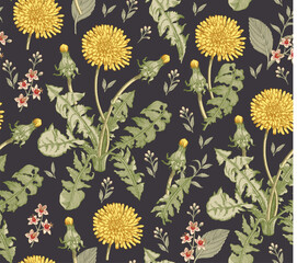 Seamless pattern Dandelion. Beautiful blooming realistic isolated flowers. Vintage background fabric wildflowers. Wallpaper baroque. Drawing engraving. Vector illustration