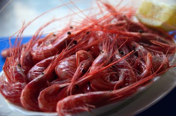 Gambas rojas en Valle Gran Rey, La Gomera