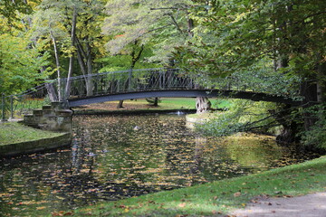Fototapeta na wymiar Park view in Hofgarten Bayreuth in autumn