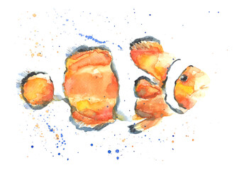 Clowm tropical fish watercolor illustration with splashes.