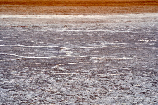 Salt deposits in the large salt lake Chott el jerid in southern Tunisia