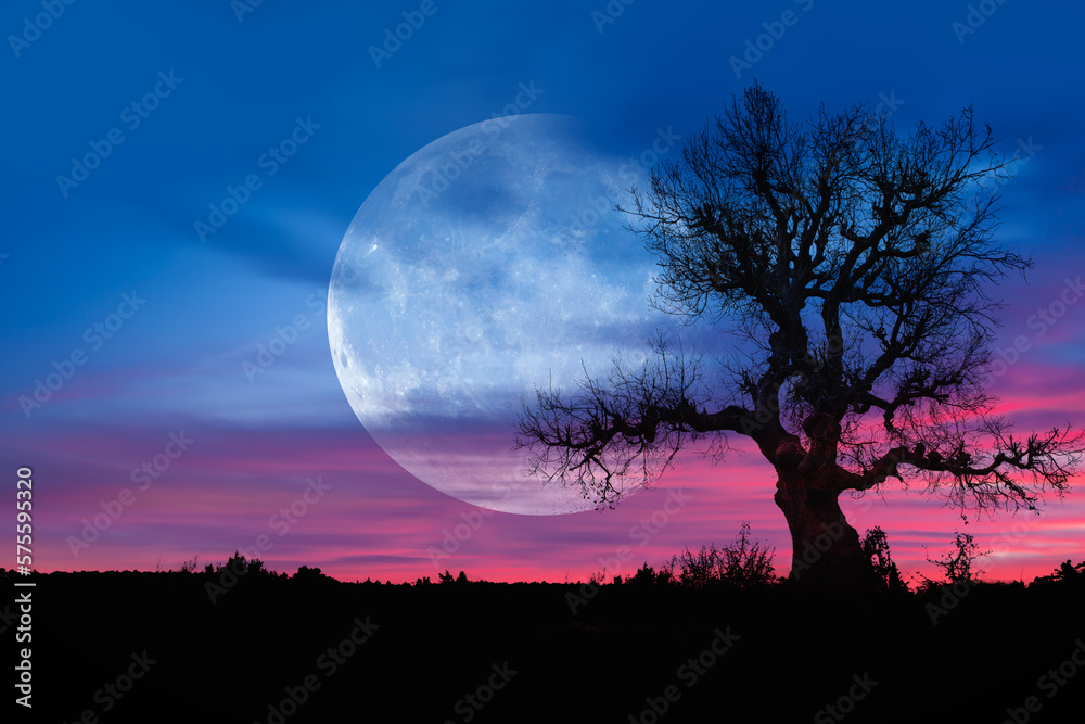 Poster lone dead tree with super full blue moon, amazing clouds in the background 