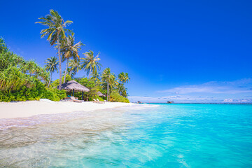 Paradise island beach. Tropical landscape of sunny summer scene, sea sand sky palm trees. Luxury travel vacation destination. Exotic beach landscape. Amazing nature, relax, freedom tranquil Maldives