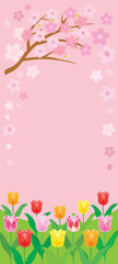 Obraz na płótnie Canvas 桜とチューリップのピンクの背景イラスト