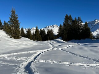 Wonderful winter hiking trails and traces in the fresh alpine snow cover of the Swiss Alps and over the tourist resort of Arosa - Canton of Grisons, Switzerland (Schweiz)