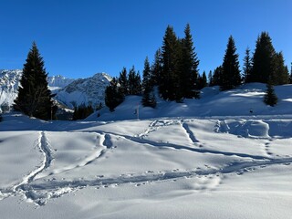 Fototapeta na wymiar Wonderful winter hiking trails and traces in the fresh alpine snow cover of the Swiss Alps and over the tourist resort of Arosa - Canton of Grisons, Switzerland (Schweiz)