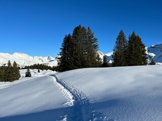 Wonderful winter hiking trails and traces in the fresh alpine snow cover of the Swiss Alps and over the tourist resort of Arosa - Canton of Grisons, Switzerland (Schweiz)