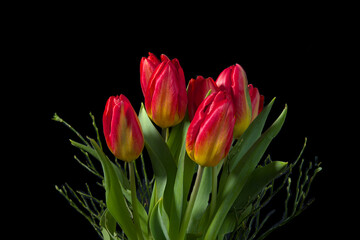 A bouquet of fresh bright red, yellow and green tulips in a vase against a black background with empty space.