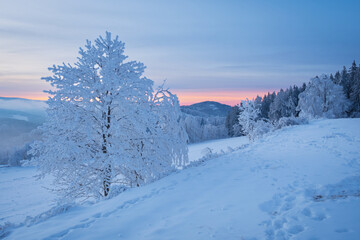 Frozen winter landscape with trees and hills at sunset. Winter landscape Šumava National Park