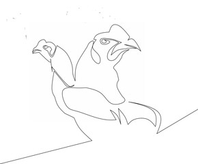 vector illustration of two tough rooster heads