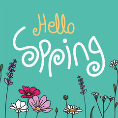 Fototapeta na wymiar Hello Spring vector illustration with hand drawn lettering, flower, and other elements. Spring lettering, template, banner, poster, card, background.