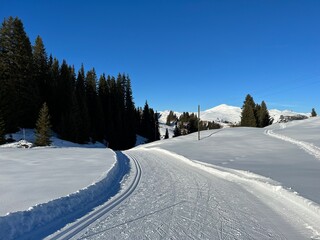 Excellently arranged and cleaned winter trails for walking, hiking, sports and recreation in the area of the Swiss tourist winter resort of Arosa - Canton of Grisons, Switzerland (Schweiz)