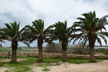 Fototapeta premium hiver à Gozo