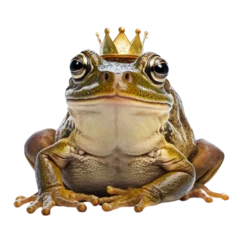 Fotobehang King frog crowned Photorealistic  isolated without background png, ai generated © David
