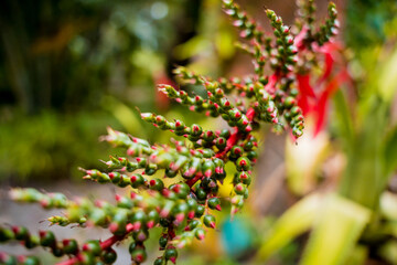 Green leafs on blurred background in garden.