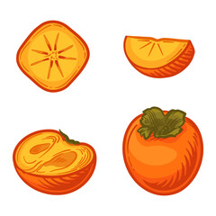 Persimmon, half persimmon and a slice. Vector illustration of persimmon isolated on a white background.