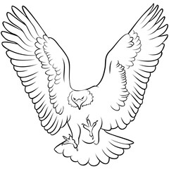 Eagle Line Drawing.
