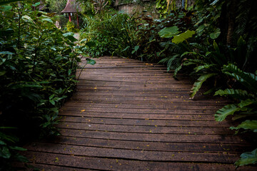 Obraz premium Old rustic wooden stairs in the garden.