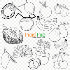 tropical fruits collection, outline vector illustration, healthy eating, hand-drawn illustration