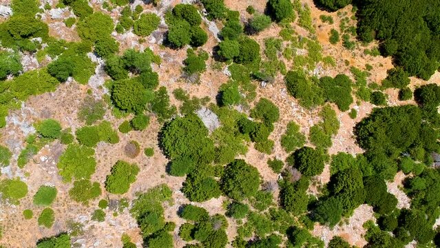 Drone flight over rocky tropical island, green trees, and deep blue tropical water