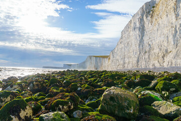 White cliffs of Seven sisters