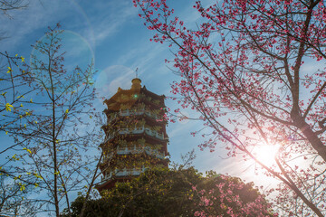 Sun Moon Lake: Ci-en Pagoda with Cherry Blossom
