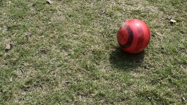 Colorful ball kept on the ground with green grass