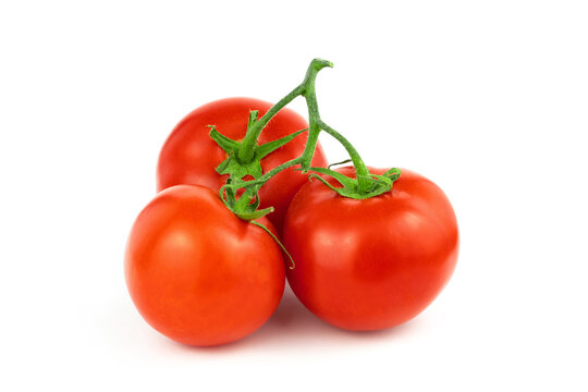 Close-up of three ripe red tomatoes on green branch on white background