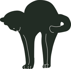 black cat cute and the shadow