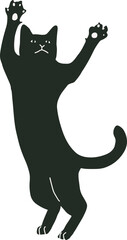 black cat cute and the shadow