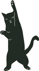 black cat cute and the shadow