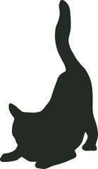 black cat cute and the shadow