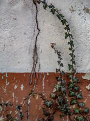 Risse in der Hauswand