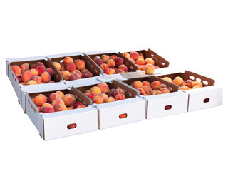 Fresh Organic peaches in paper boxes isolated on white