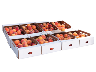 Fresh Organic peaches in paper boxes isolated on white