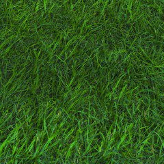 Abstract green grass texture background wallpaper