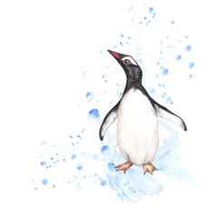 Watercolor illustration of an arctic penguin with a texture, with blue splashes, isolated on a transparent background