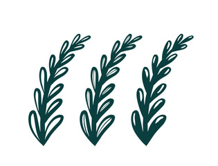 Branch vector illustration. Plant design element.