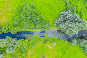 Top down view on exotic winding river flows through green wetlands. Birds eye view of zig-zag creek. Ukraine, Europe. Cinematic aerial shot. Discover the beauty of earth. Filmed in 4k, drone video.