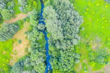 Top down view on exotic winding river flows through green wetlands. Birds eye view of zig-zag creek. Ukraine, Europe. Cinematic aerial shot. Discover the beauty of earth. Filmed in 4k, drone video.