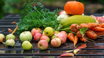 Fresh farm vegetables and fruits on wet woody background outdoor in garden, apples, carrots, zucchini, pumpkin, selective focus.