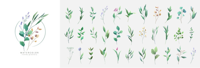 Set of luxury green leaves and flowers elements in watercolor style. Aquarelle trendy greenery branches and blooming. Vector isolated on white background for Invitation, greeting