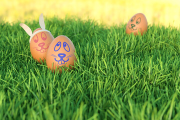 Easter egg with faces in the grass / Ostereier mit Gesichtern im Gras