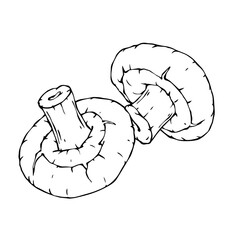 Linear sketch of mushrooms. Vector graphics.