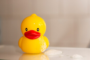 Rubber Duck in the bathroom
